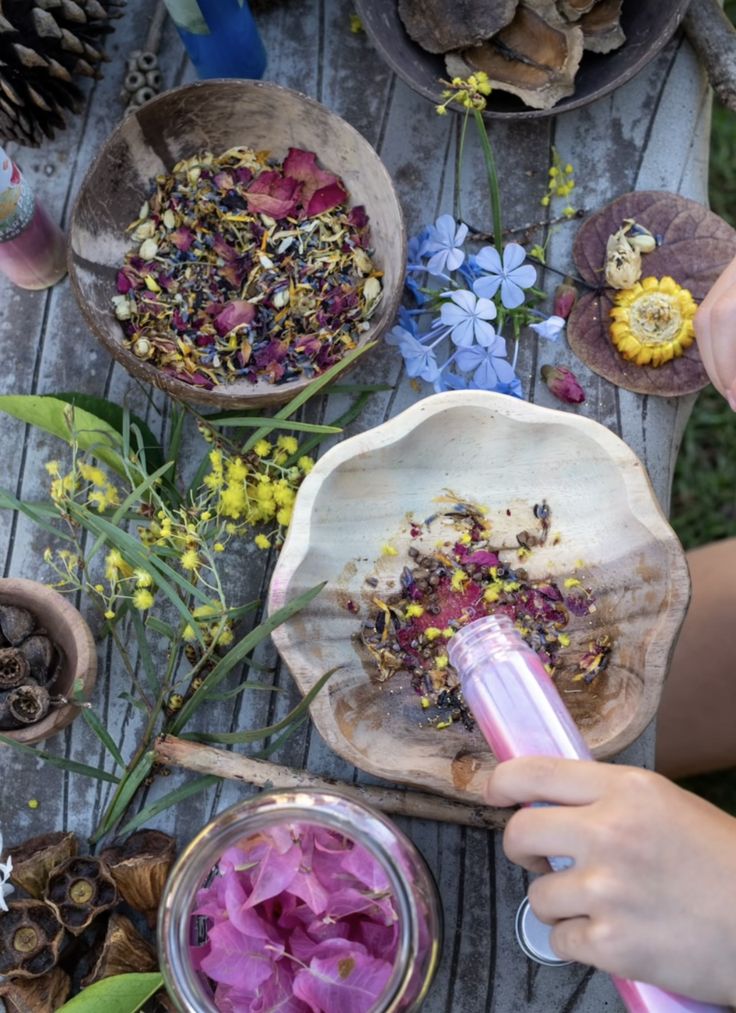 Growing Wonder, One Seed at a Time