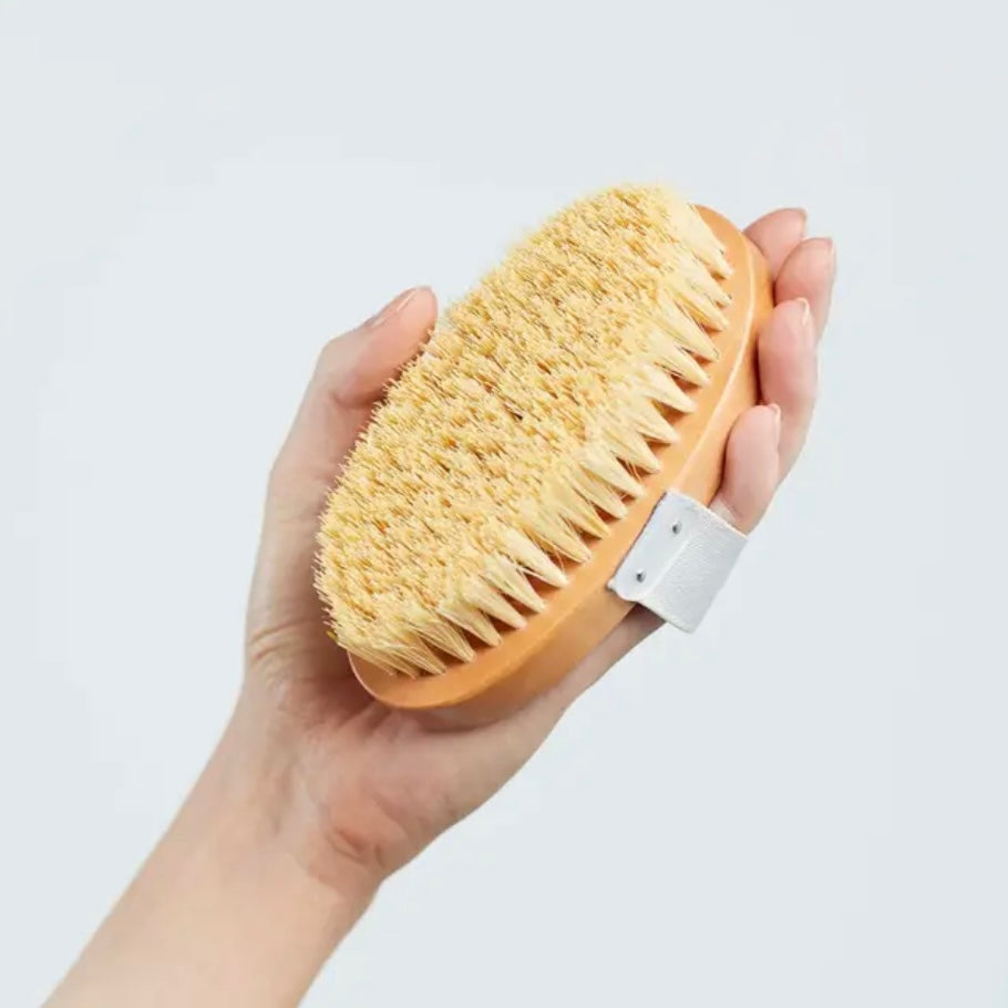 Eco Dry Brush